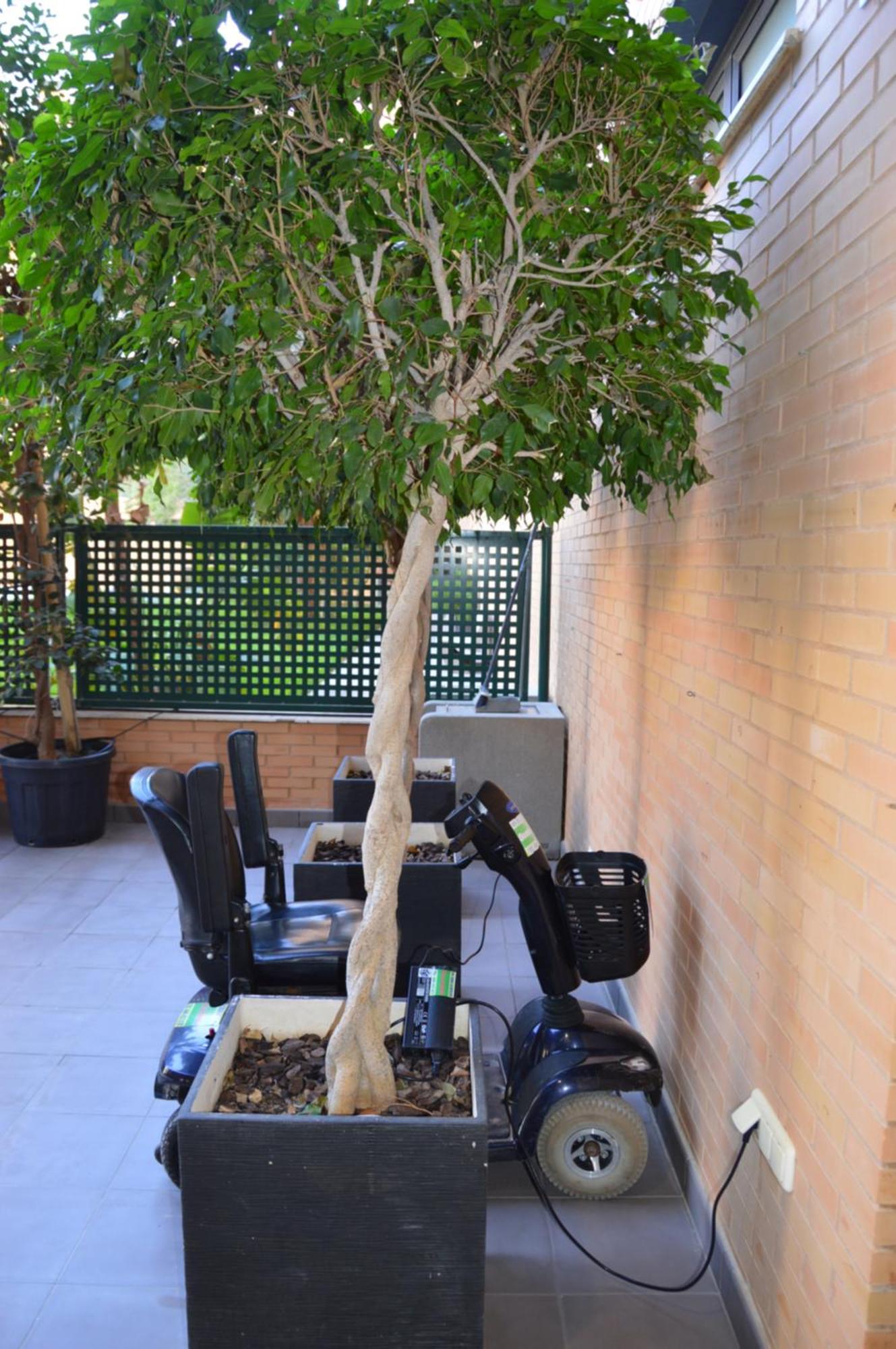 Albir Beach & Sun Apt El Albir Exterior foto